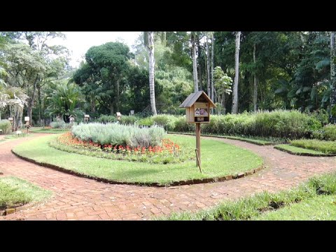 Evento comemora um ano do Jardim da Baronesa