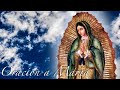 Oracion A Maria Julio Oliva Cantante Catolico