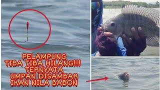 preview picture of video 'Ngak Nyangka!! Pelampung Tiba-tiba Hilang.. Ternyata Umpan Lumut di Sambar Nila Babon..'