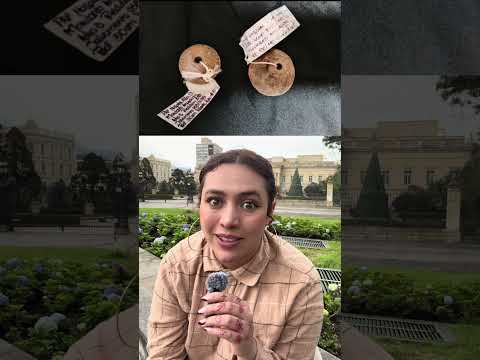 Hallazgo arqueológico en Risaralda Colombia