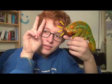 Video thumbnail for We found two dead swans - Teen Suicide