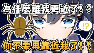 [holo]住在Kronii家的蜘蛛BOB 