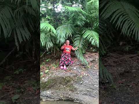 Río Carepa Antioquia vereda el palmar ❤️ el caño más lindo 🥰
