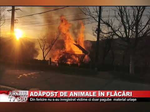 Adapost de animale in flacari