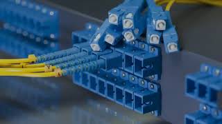 Why Your Business Needs Structured Cabling