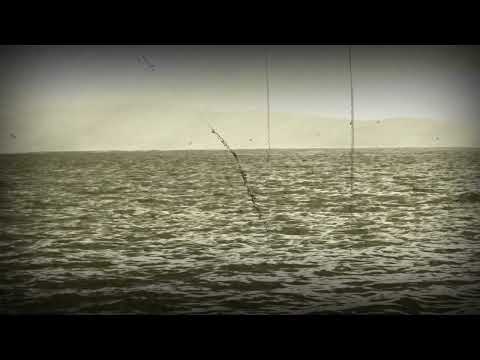 Ansambl Šumadija, Aj, berem grožđe