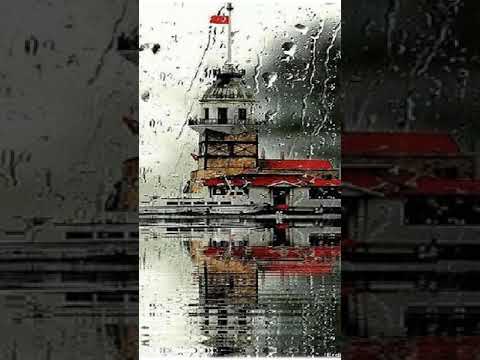 #Seni Seviyorum  #Tayfun Talipoğlu #ŞerminDinç