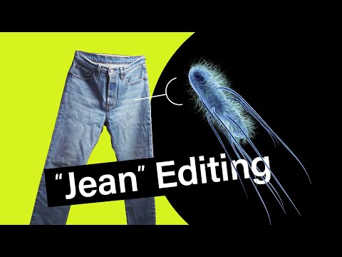 沒有人告訴你關於藍色牛仔褲中的有毒染料的情況 (What no one tells you about the toxic dye in blue jeans)