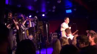 Mustard Plug - Brain on Ska