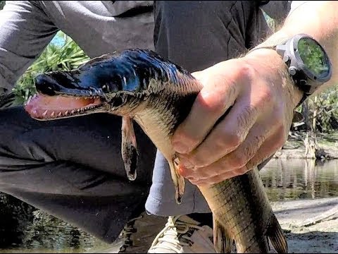 Prehistoric fish catch and cook. Gear list for wilderness trips.