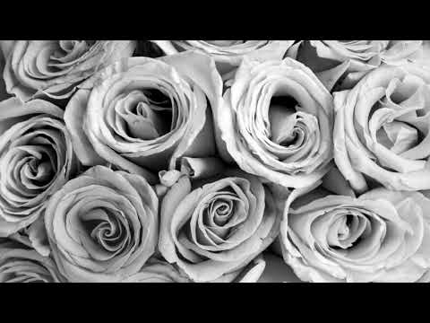 Arlissa,Nas-Hard To Love Somebody