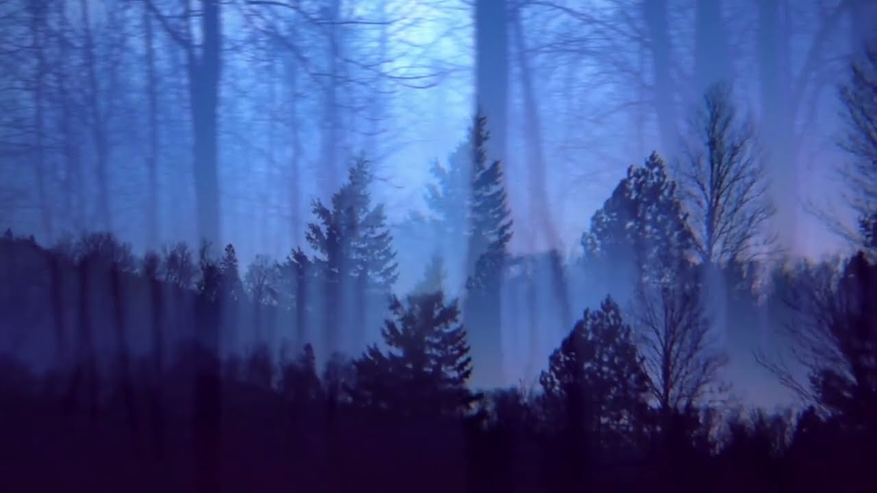 Quebec Rockers TONNERRE wydają nowy singiel „Les enfants de la nuit”