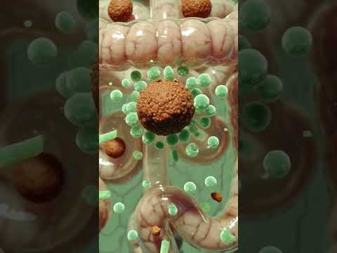 The Complete Journey of Pizza Inside the Human Body. #fitness #nutritionassistance #science