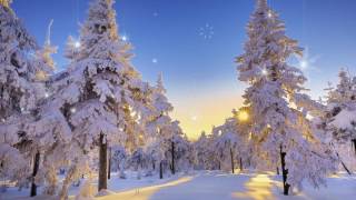 ANDRE RIEU - SNOW WALTZ - (HD scenes)