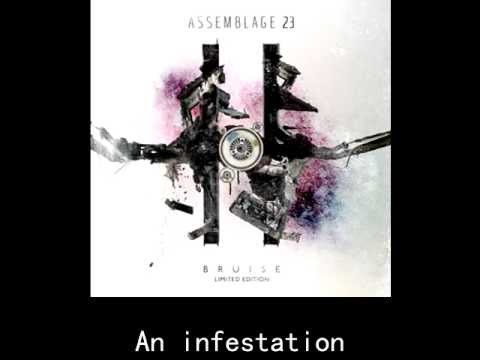 Assemblage 23 - The Noise Inside My Head (lyrics)