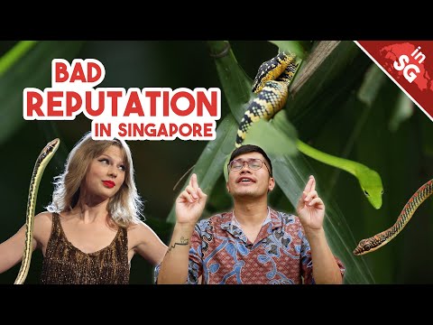 Will Taylor Swift Experience REAL SNAKE BEHAVIOUR in Singapore? | Native Snakes