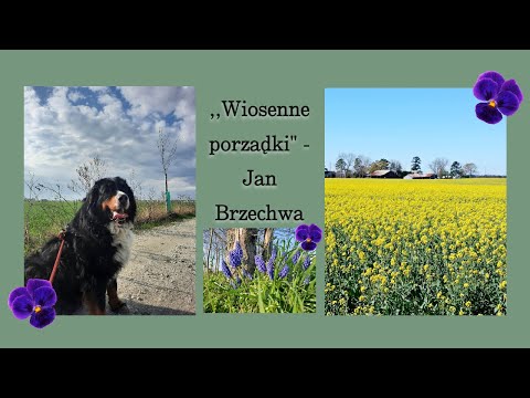 ,,Wiosenne porządki" - Jan Brzechwa (filmik edukacyjny)