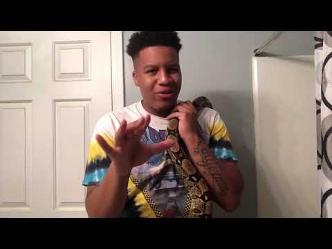 Why you shouldn’t get a pet snake / my red tail boa