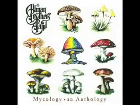 Allman Brothers Band - Back Where It All Begins