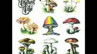 Allman Brothers Band - Back Where It All Begins