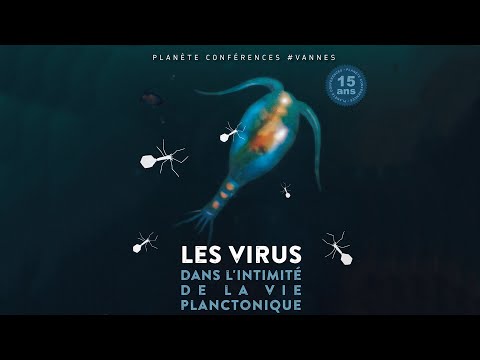 Planète conférences - Le virus dans l'intimité de la vie planctonique