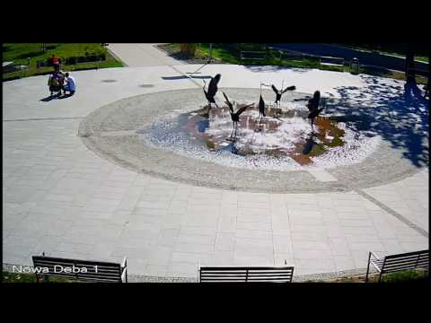 Lasowiak TV – transmisja na żywo