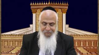 מסכת מגילה פרק ג (הרב יורם סרי) - התמונה מוצגת ישירות מתוך אתר האינטרנט יוטיוב. זכויות היוצרים בתמונה שייכות ליוצרה. קישור קרדיט למקור התוכן נמצא בתוך דף הסרטון