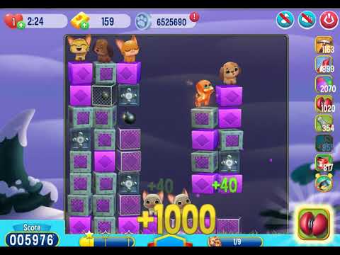 Pet Rescue Saga   level 6051   no boosters