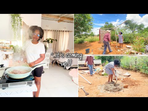 …finally; “transforming My Neglected Backyard || House To Home Progress || DIY project 