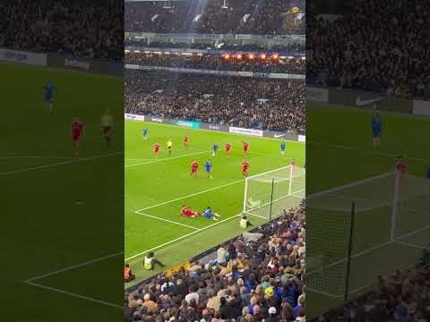 Estevão’s last-minute winner vs Liverpool! 💙Chelsea fans go mental at Stamford Bridge! 🔥⚽