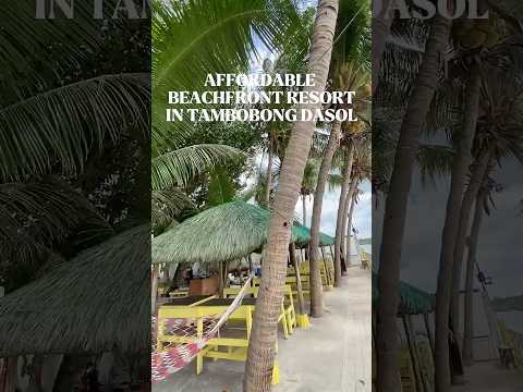 White sand, not crowded and affordable beach resort sa Tambobong Dasol Pangasinan. #beachresort