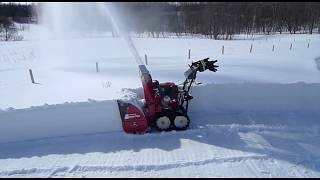 À jamais pour toujours les oiseaux
