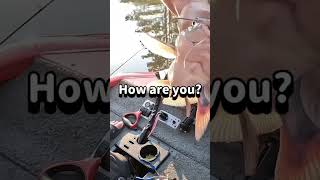 Talking catfish.ナマズと喋る女！#shorts #fishing #catfish #アメリカ在住 #釣り