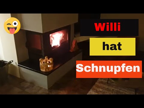 Auch das ist Willi 🤣🤣😝😝