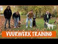Wat doet vuurwerk met je hond?  | DierenpraatTV