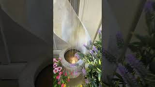 At this current moment this spiral column waterfall fountain is my stress therapy! So relaxing!