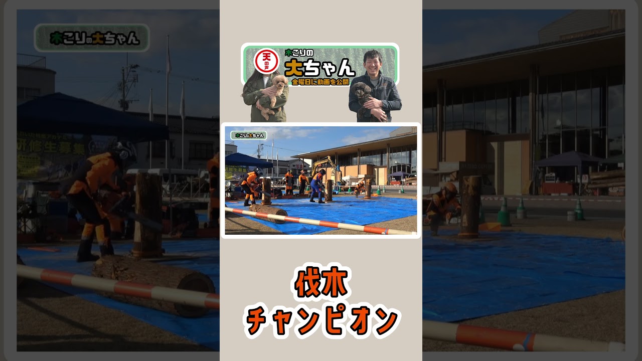 【木こり】伐木チャンピオン【林業のリアル】