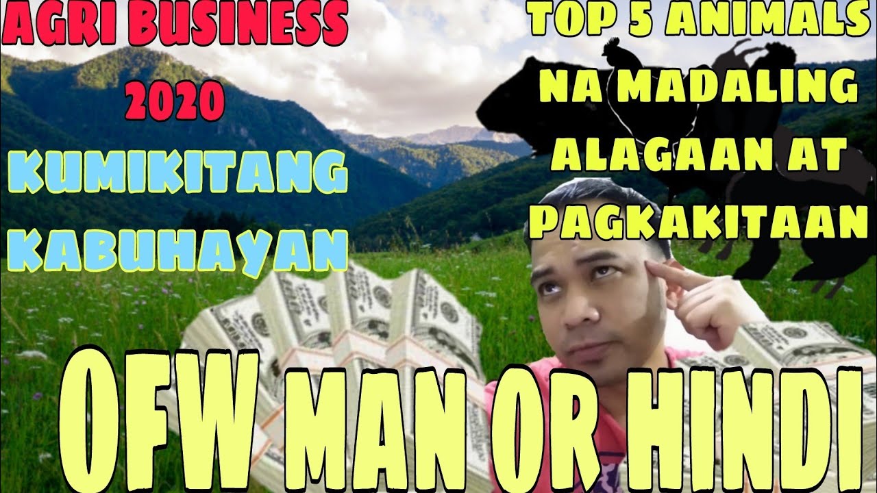 NEGOSYO 2021 MABABANG PUHUNAN SA PAG NENEGOSYO, AGRIBUSINESS