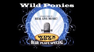 Wild Ponies  "The Night We Never Met"