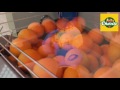 Frutas Charito: excelencia de la huerta en zumos