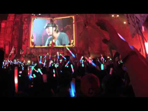 TomorrowWorld 2013 Axwell w/ GoPro