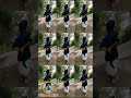 Vaa Sami Annathaa Super Star Vaa Samy Rajini Movie Song Whatsup Status Azhagumayilchannel