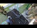 ARAQ 7 62x39 Gp Pov Shooting