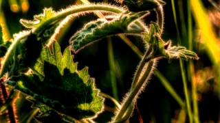 Keith Jarrett-How deep is the ocean - Primavera 2014 (fotos)