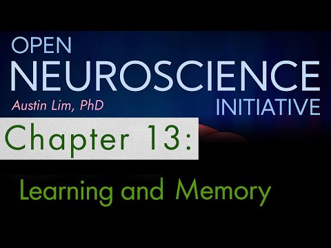 "Learning and Memory" Chapter 13 - Open Neuroscience Initiative free textbook narration