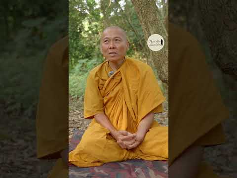 Thầy Minh Tuệ trong lòng sư Minh Tự | Theo Dấu Chân Trần