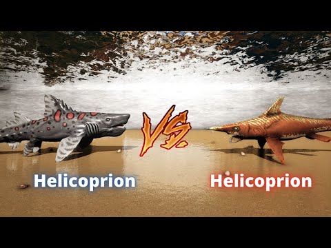 Helicoprion vs helicoprion ark battle