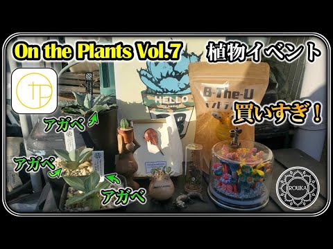 園芸 キメラ、興味深い植物の創造物