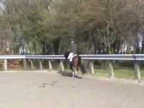 Aester el nino x Thrianta