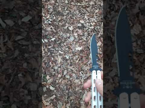 Bear and sons 115 review